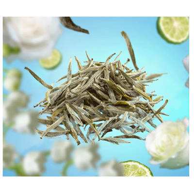 LAMPE BERGER – Parfums – Parfum 0,5L Pure White Tea | 3127291153615